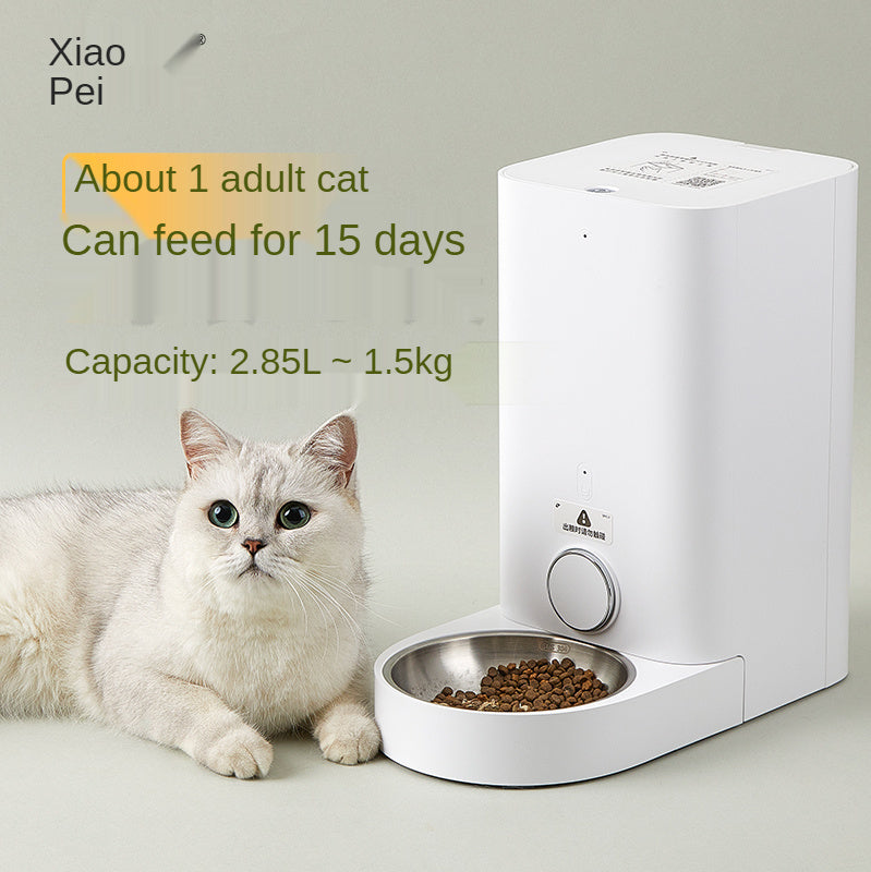 Cat Automatic Feeding Machine