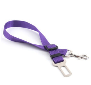 Durable Polyester Dog Leash for Daily Walks & Training