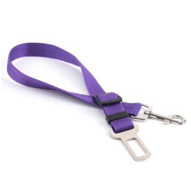 Durable Polyester Dog Leash for Daily Walks & Training