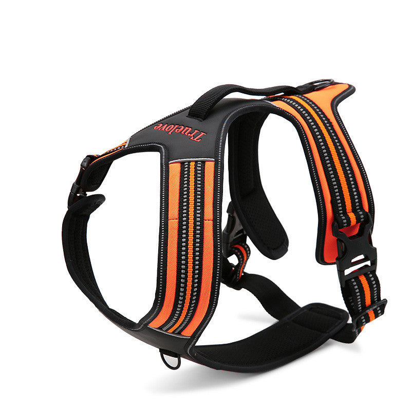 Pet chest strap Harness