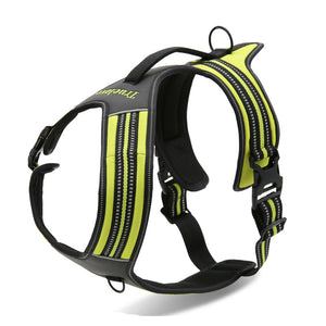 Pet chest strap Harness