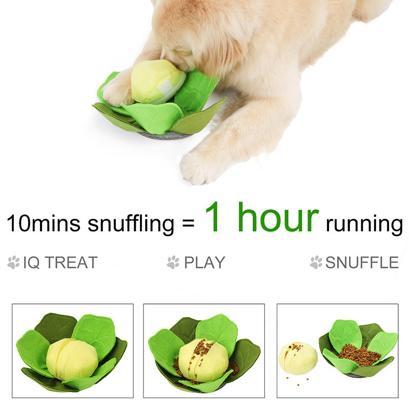 Dog Cabbage Sniffing Bowl Toy – Interactive Nose Work & Slow Feeder