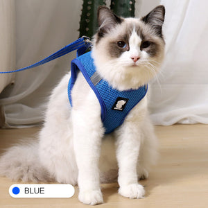 Anti-strike cat traction harness