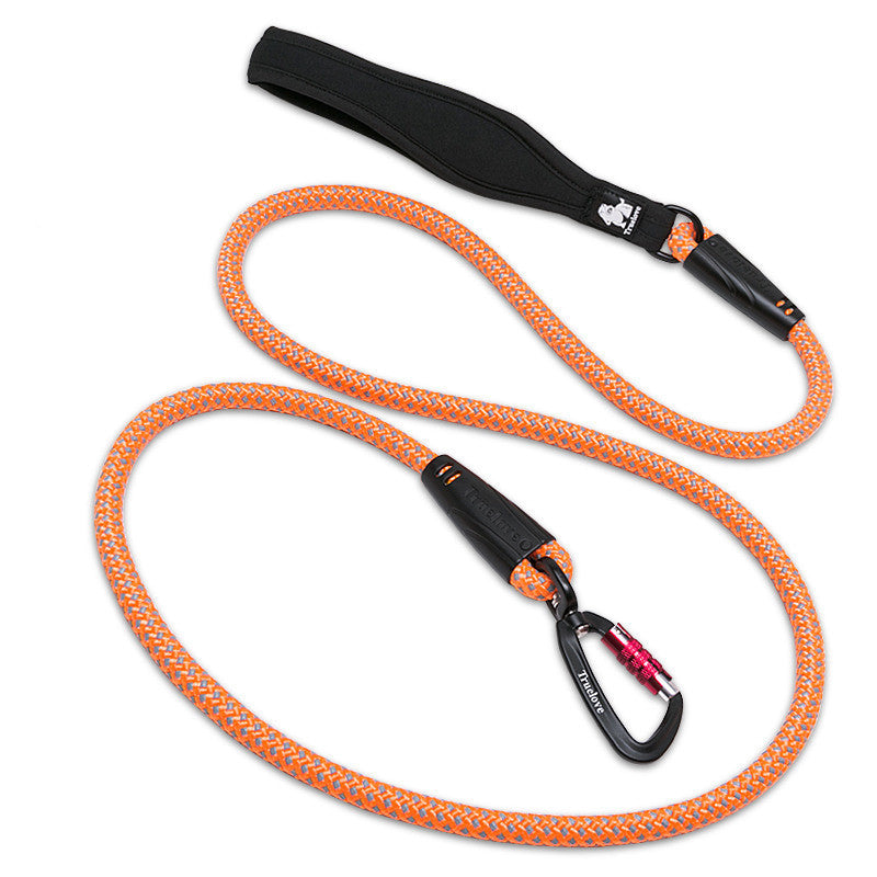 Big Dog Walking Traction Rope