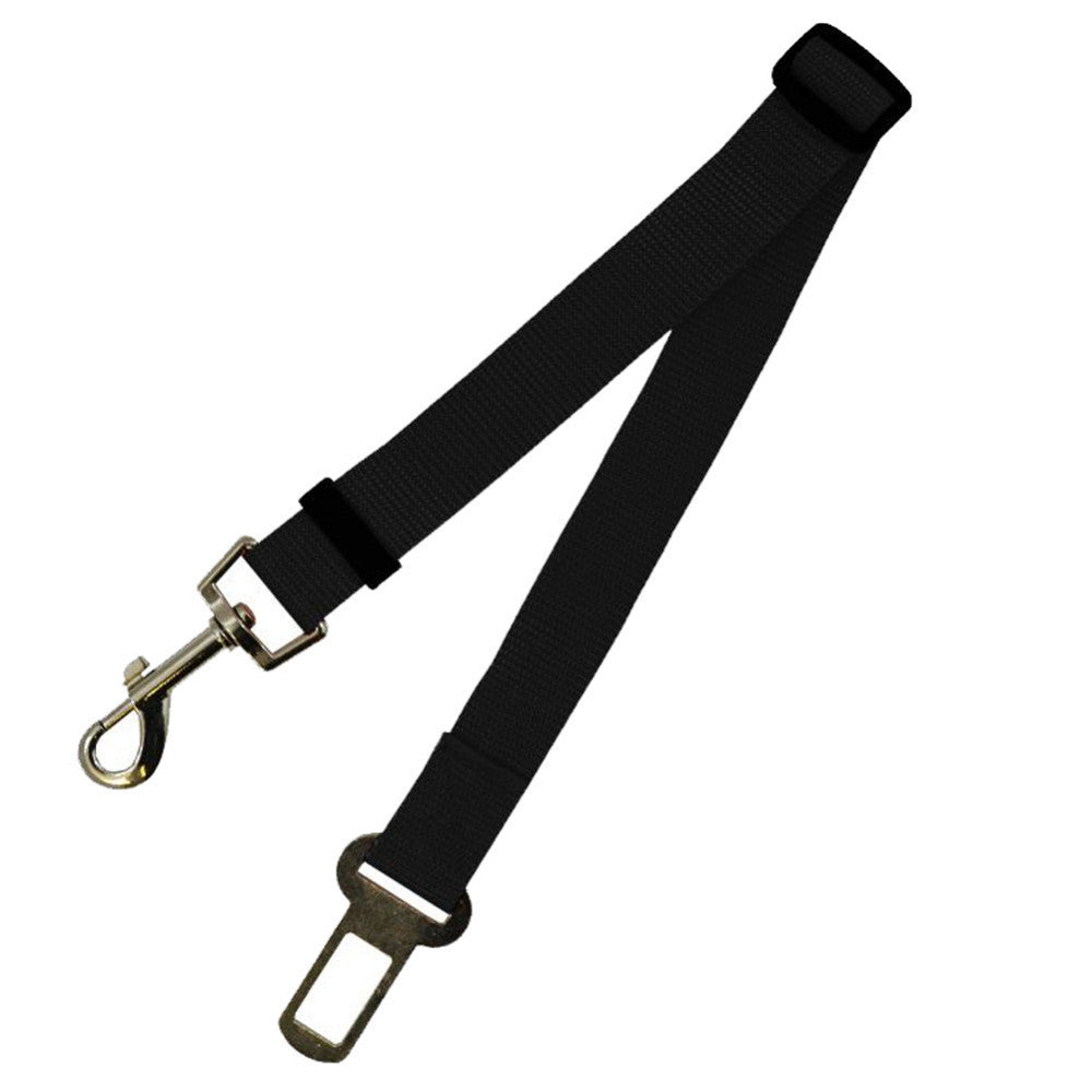 Durable Polyester Dog Leash for Daily Walks & Training