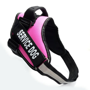 Dog Nylon Chest strap