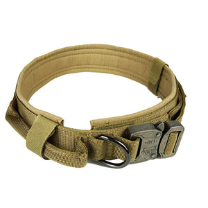 Dog Nylon Collar