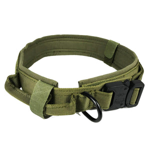 Dog Nylon Collar