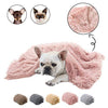 Pet Plush double mat blanket