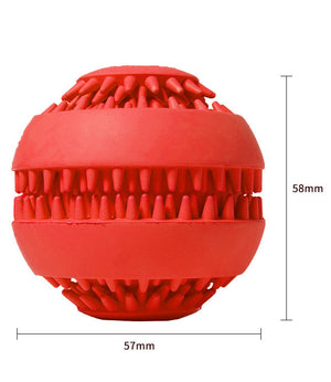 Pet Toothbrush molar ball