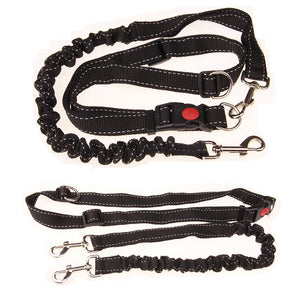 Dog Running Chain Leash