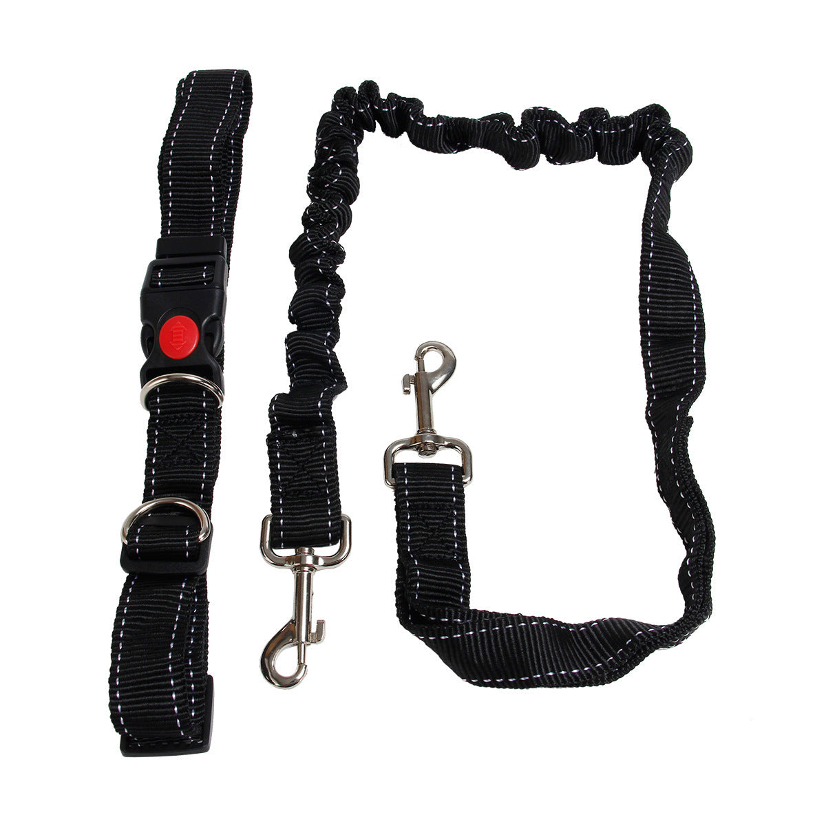 Dog Running Chain Leash