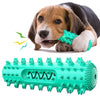 Durable Dog Teething Stick, Squeaky Chew Toy And Toothbrush