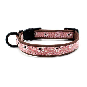 Dog Plastic Buckle Collar