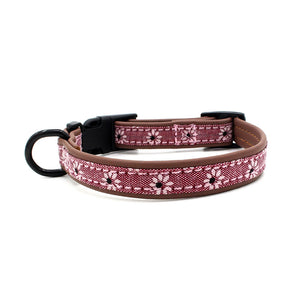 Dog Plastic Buckle Collar