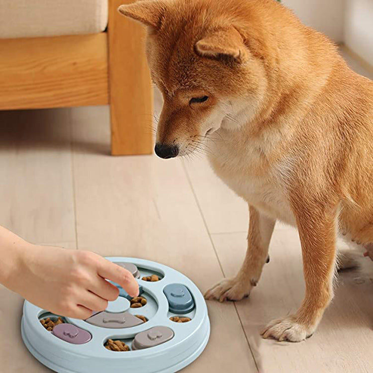 Dog Puzzle Slow Feeder Bowl For Healthy Digestion And Fun Mealtime