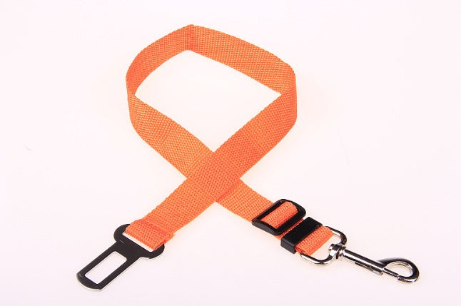 Durable Polyester Dog Leash for Daily Walks & Training