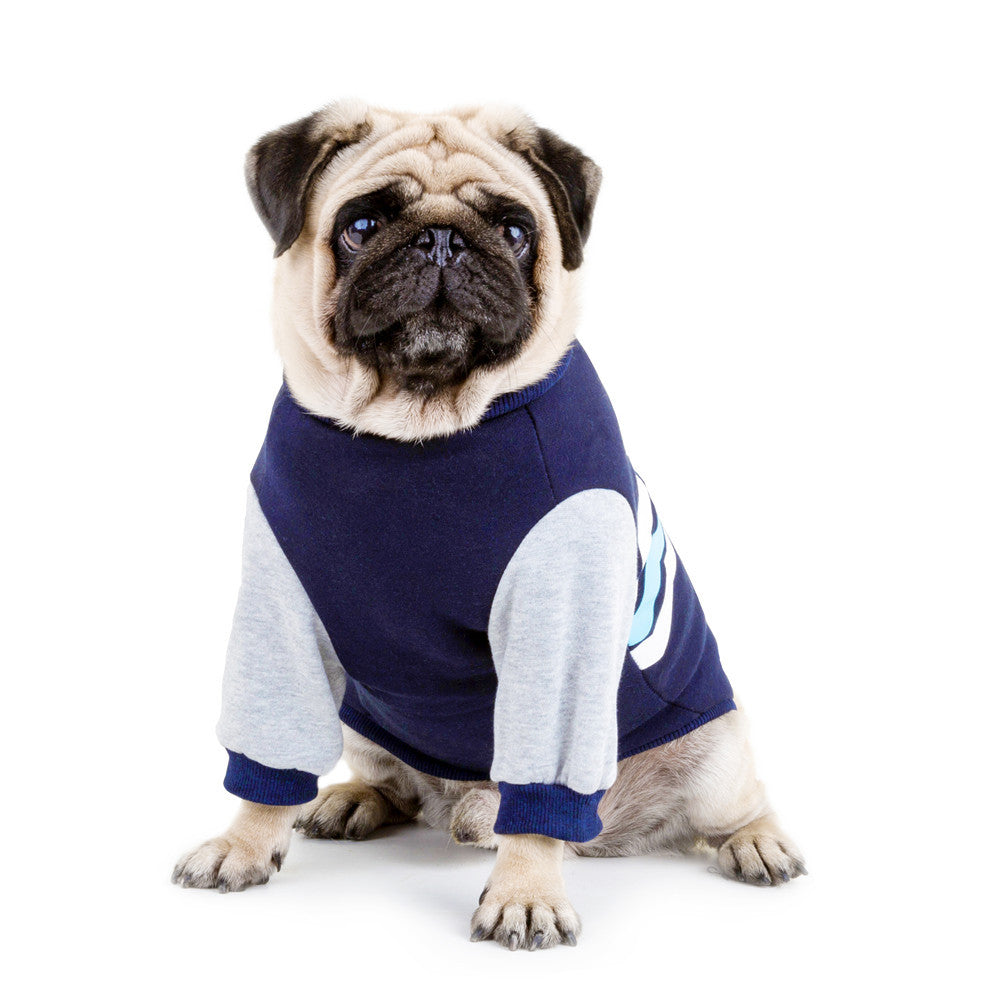 Wavy Two-Legged Dog Hoodie – Stylish & Cozy Pet Sweatshirt