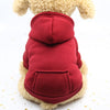 Dog teacup winter costume