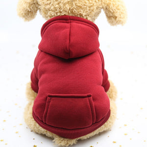 Dog teacup winter costume