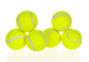 Automatic Interactive Ball Launcher For Pet's