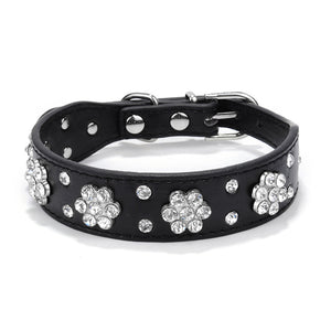 Pet Rhinestone Plum Collar