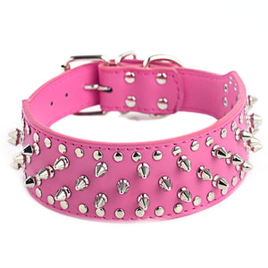 Large Dog rivet Collar