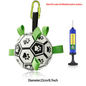 Dog Football Training Toy