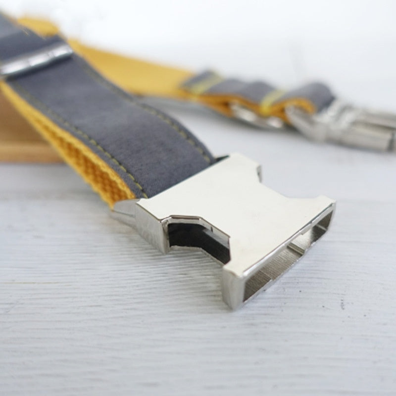 Retractable Dog Leaning Collar