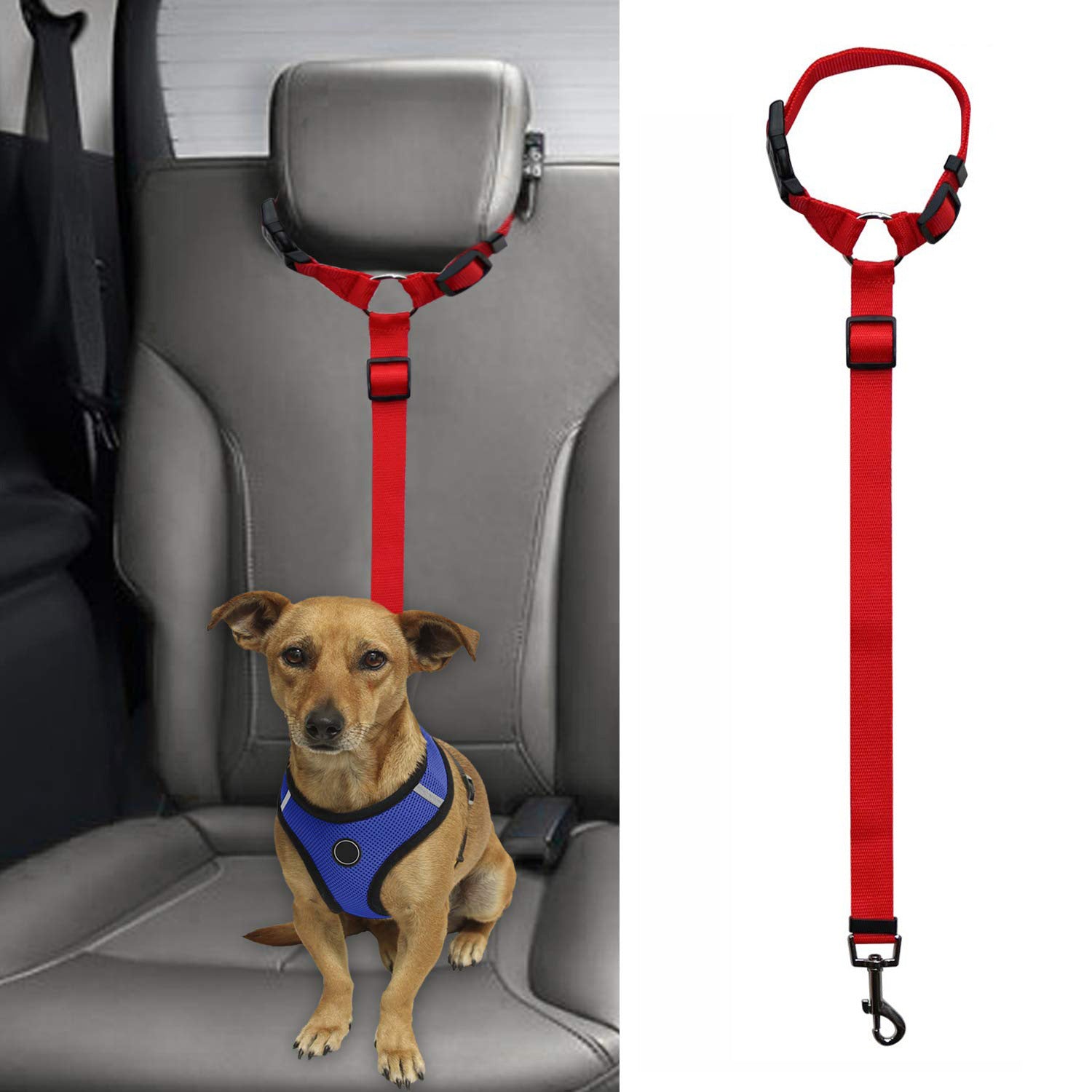 Pet Safety Leash – Durable, Adjustable & Comfortable for Dogs & Cats