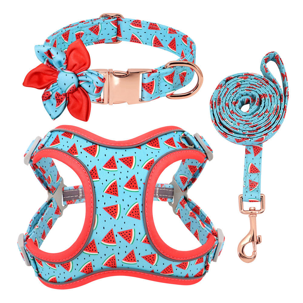 Dog Teddy Corgi Collar Leash