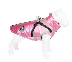 Pet polyester Jacket
