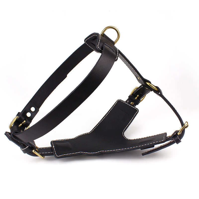 Pet chest back Harness