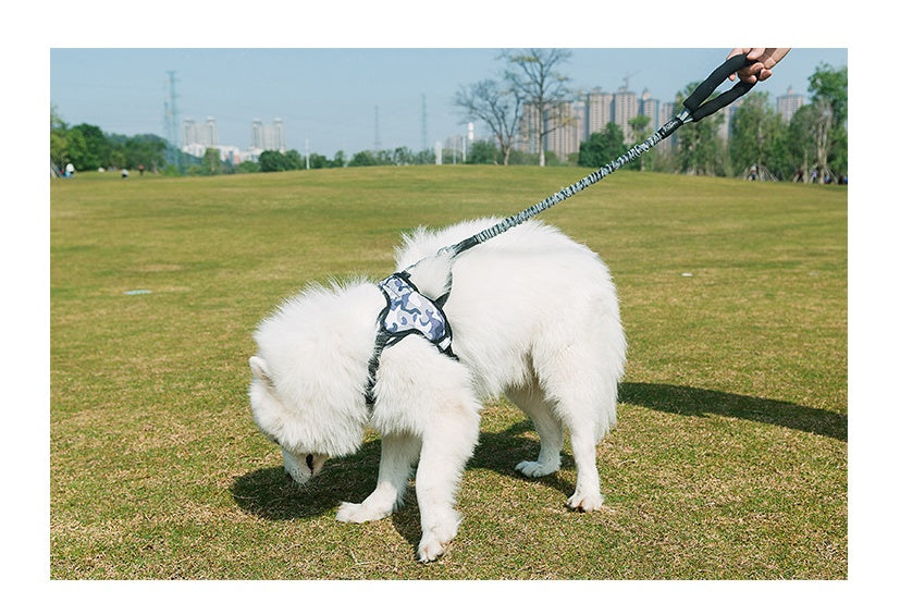 Dog chest strap chain leash