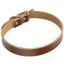 Leather dog Collar