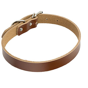 Leather dog Collar