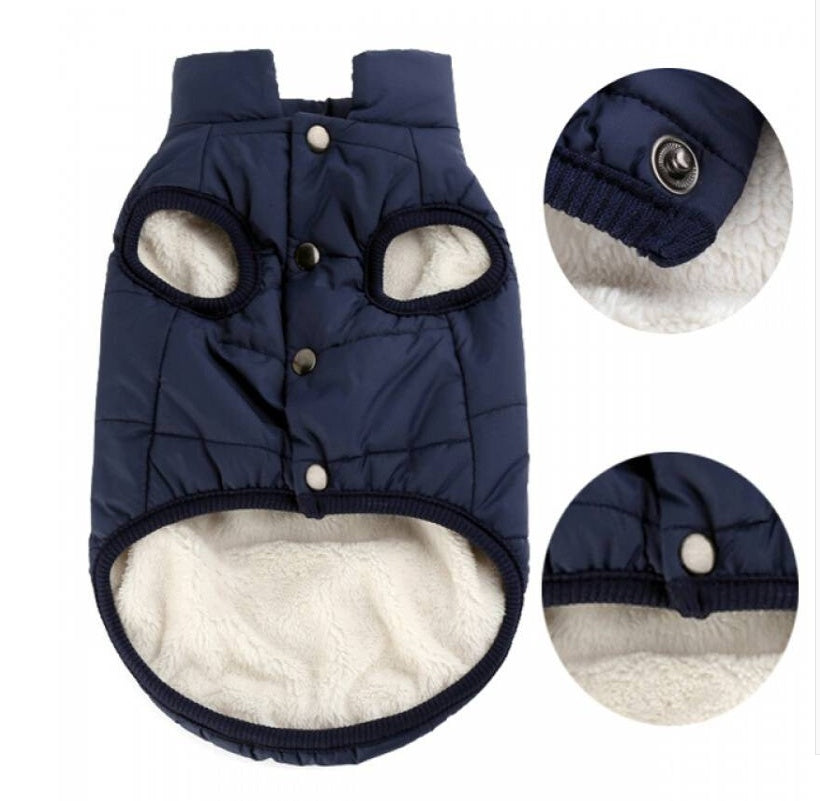 padded winter dog vest-dog fashion winter wear-teddy dog vest
