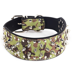 Large Dog rivet Collar