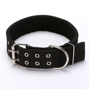 Canvas Dog Collar