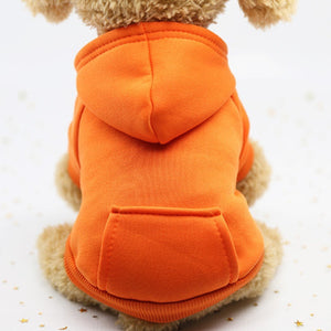 Dog teacup winter costume