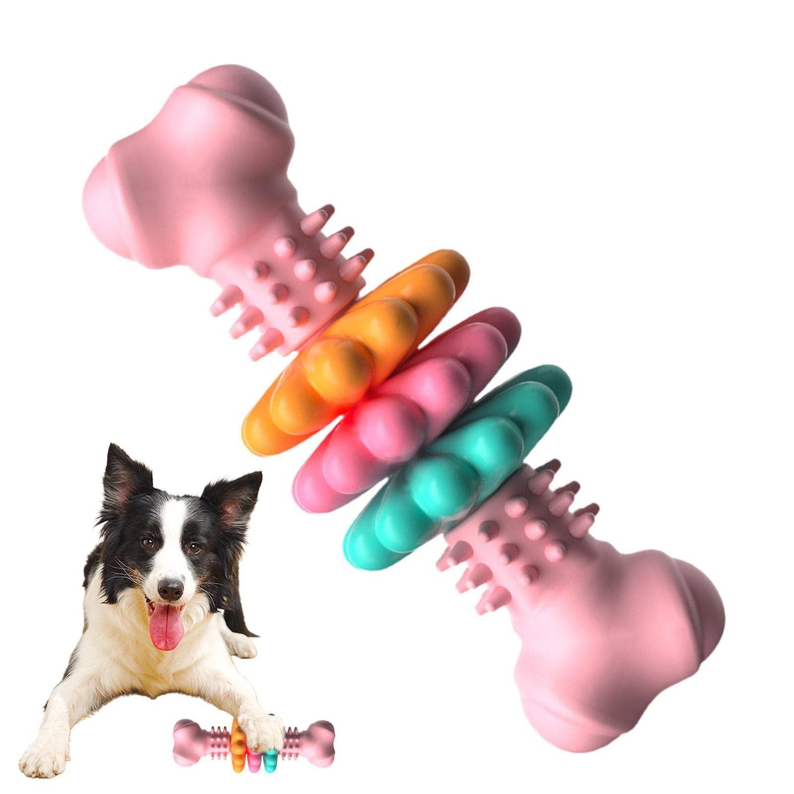 Dog Teeth Cleaning Toy & Chew Bone - Promotes Healthy Gums