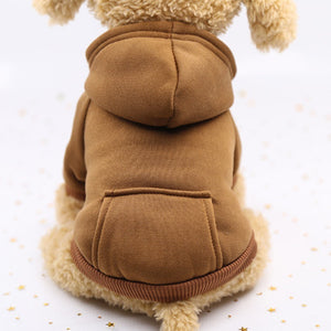 Dog teacup winter costume