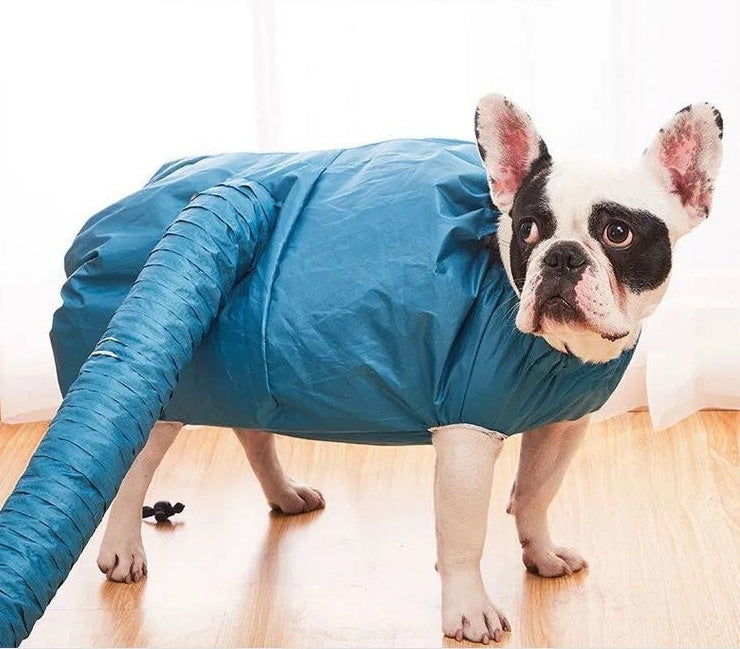 Dog Automatic Drying Bag