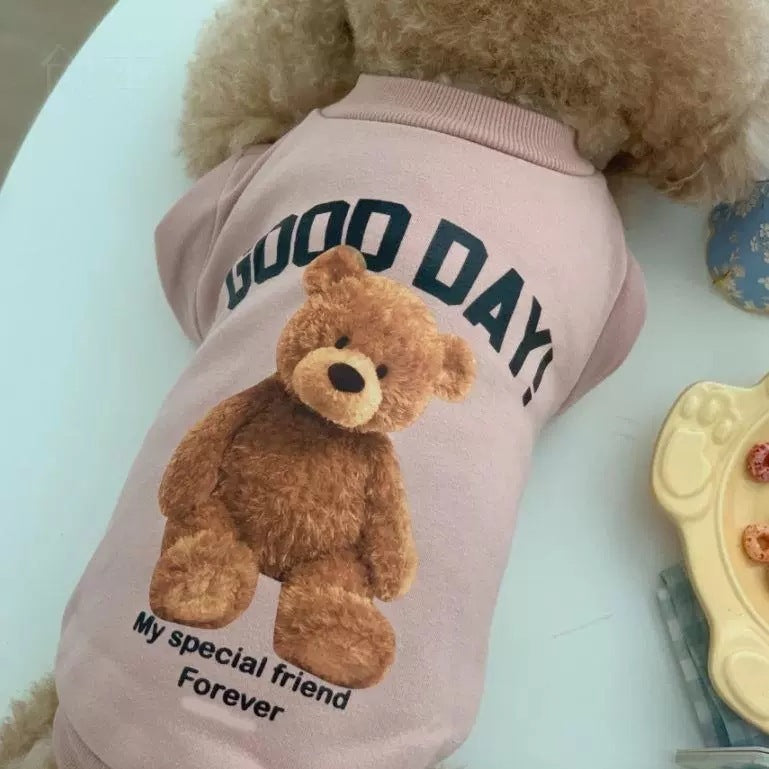 Winter Teddy Bear Pet Clothing