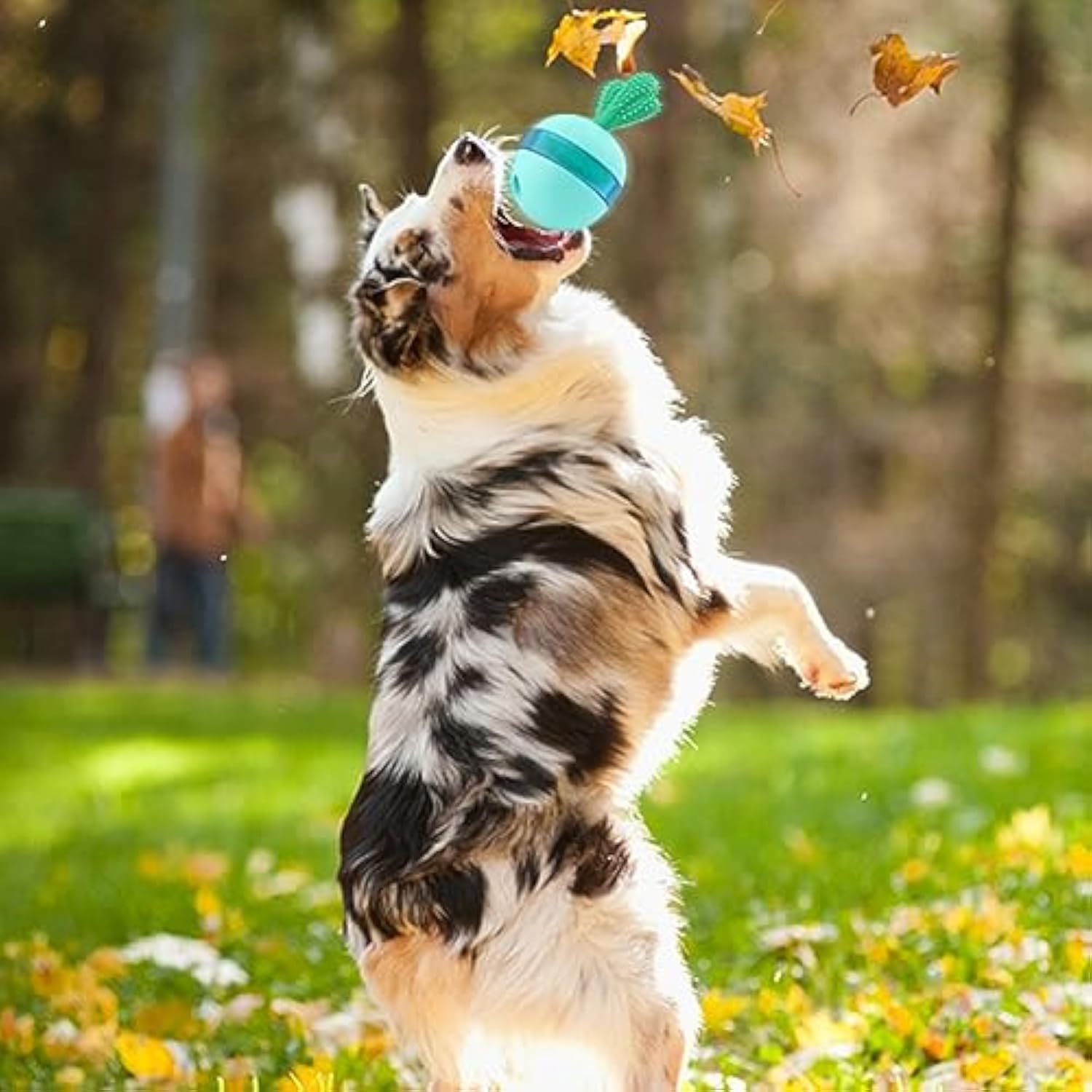 Interactive Treat Dispensing Dog Toy