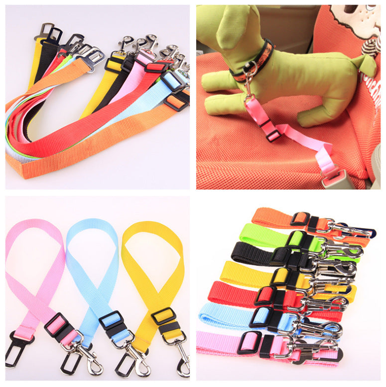 Durable Polyester Dog Leash for Daily Walks & Training