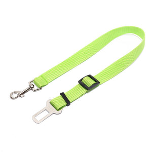 Durable Polyester Dog Leash for Daily Walks & Training