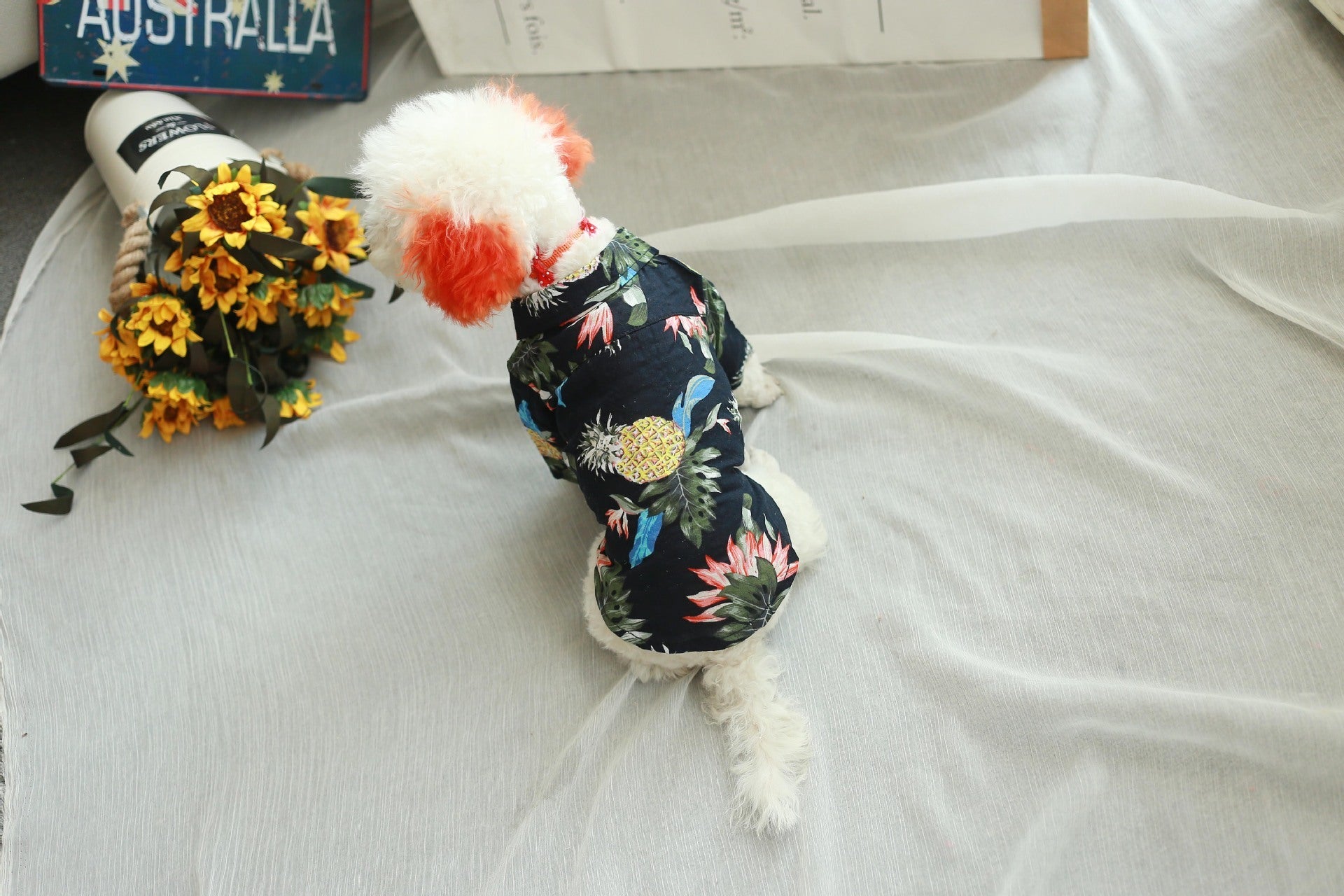 Dog fashion shirt