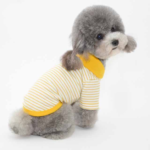 Pet color striped polo shirt