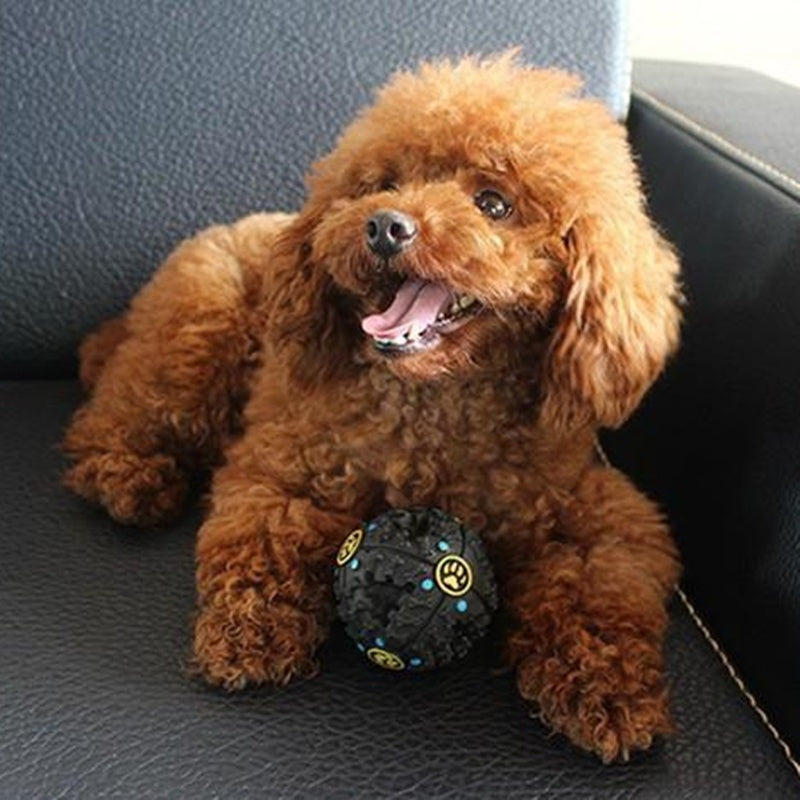 Dog Tricky Treat Ball – Interactive Puzzle Toy for Pets